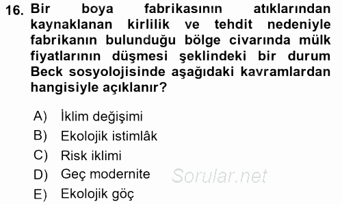 Sosyolojide Yakın Dönem Gelişmeler 2015 - 2016 Ara Sınavı 16.Soru