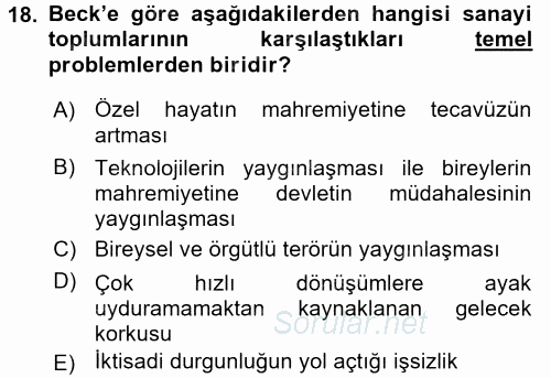 Sosyolojide Yakın Dönem Gelişmeler 2015 - 2016 Ara Sınavı 18.Soru