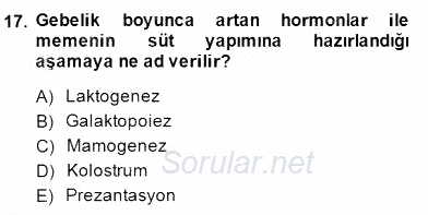 Anne Çocuk Sağlığı Ve İlkyardım 2014 - 2015 Ara Sınavı 17.Soru