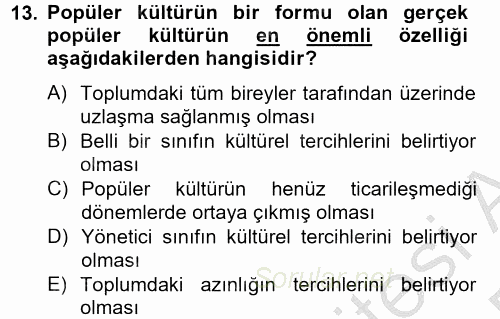 Medya Siyaset Kültür 2014 - 2015 Dönem Sonu Sınavı 13.Soru