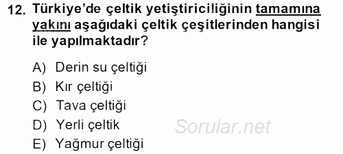 Tarla Bitkileri 1 2013 - 2014 Tek Ders Sınavı 12.Soru