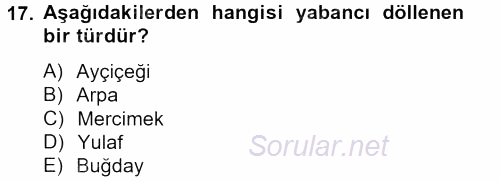 Tarla Bitkileri 1 2013 - 2014 Tek Ders Sınavı 17.Soru