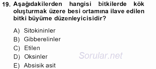 Tarla Bitkileri 1 2013 - 2014 Tek Ders Sınavı 19.Soru