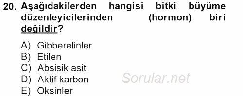 Tarla Bitkileri 1 2013 - 2014 Tek Ders Sınavı 20.Soru