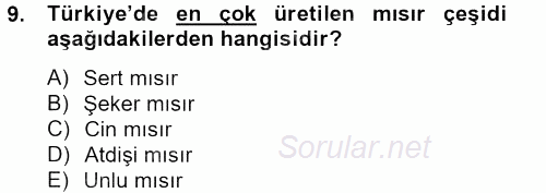 Tarla Bitkileri 1 2013 - 2014 Tek Ders Sınavı 9.Soru