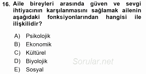 Toplumsal Yaşamda Aile 2016 - 2017 Ara Sınavı 16.Soru