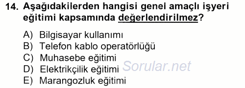 Çalışma Ekonomisi 2013 - 2014 Tek Ders Sınavı 14.Soru