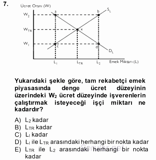 Çalışma Ekonomisi 2013 - 2014 Tek Ders Sınavı 7.Soru