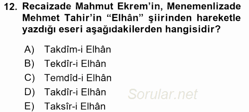 Eleştiri Tarihi 2017 - 2018 Ara Sınavı 12.Soru