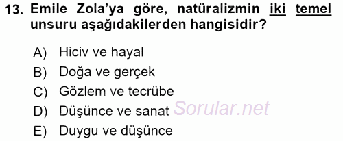 Eleştiri Tarihi 2017 - 2018 Ara Sınavı 13.Soru