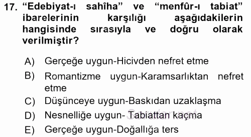 Eleştiri Tarihi 2017 - 2018 Ara Sınavı 17.Soru