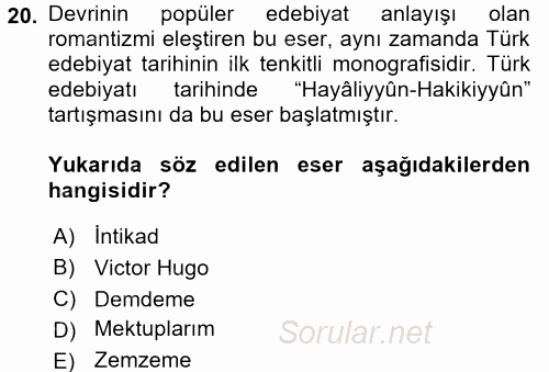 Eleştiri Tarihi 2017 - 2018 Ara Sınavı 20.Soru