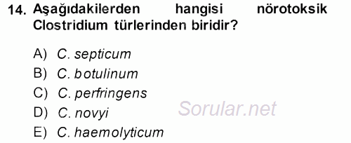 Veteriner Mikrobiyoloji ve Epidemiyoloji 2013 - 2014 Tek Ders Sınavı 14.Soru