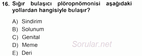 Veteriner Mikrobiyoloji ve Epidemiyoloji 2013 - 2014 Tek Ders Sınavı 16.Soru