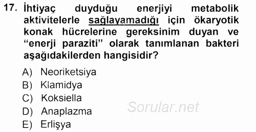 Veteriner Mikrobiyoloji ve Epidemiyoloji 2013 - 2014 Tek Ders Sınavı 17.Soru