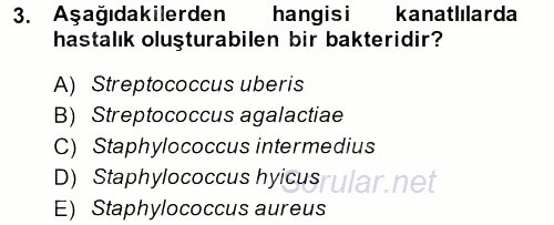 Veteriner Mikrobiyoloji ve Epidemiyoloji 2013 - 2014 Tek Ders Sınavı 3.Soru