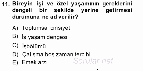 Yeni Teknolojiler ve Çalışma Hayatı 2014 - 2015 Tek Ders Sınavı 11.Soru
