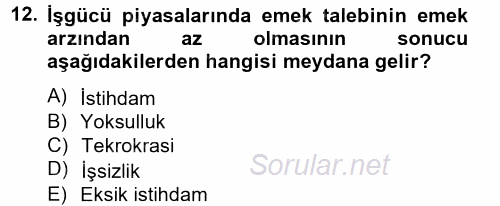 Yeni Teknolojiler ve Çalışma Hayatı 2014 - 2015 Tek Ders Sınavı 12.Soru