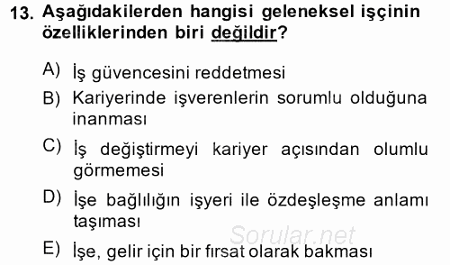 Yeni Teknolojiler ve Çalışma Hayatı 2014 - 2015 Tek Ders Sınavı 13.Soru