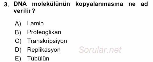 Hücre Kimyası 2017 - 2018 Dönem Sonu Sınavı 3.Soru