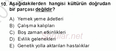 Sosyoloji 1 2013 - 2014 Dönem Sonu Sınavı 10.Soru