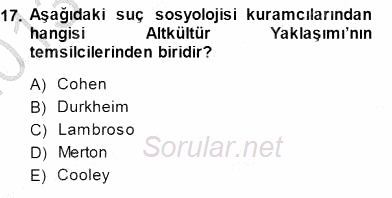 Sosyoloji 1 2013 - 2014 Dönem Sonu Sınavı 17.Soru