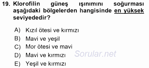 Örtü Altı Üretim Sistemleri 2016 - 2017 Ara Sınavı 19.Soru