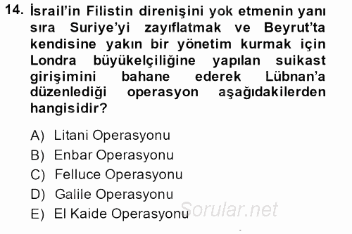 Modern Ortadoğu Tarihi 2013 - 2014 Ara Sınavı 14.Soru
