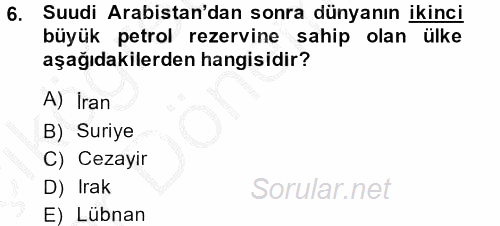 Modern Ortadoğu Tarihi 2013 - 2014 Ara Sınavı 6.Soru