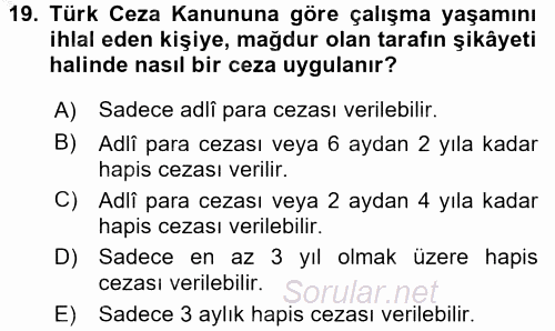 Çalışma Yaşamının Denetimi 2016 - 2017 Ara Sınavı 19.Soru