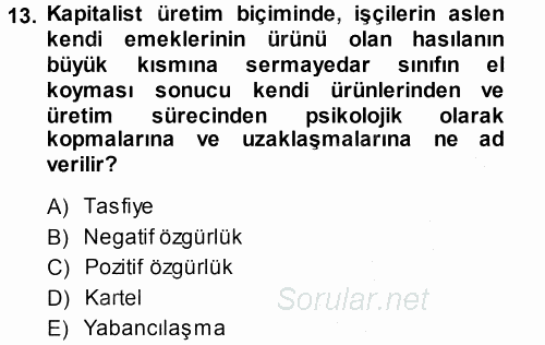 Siyaset Bilimi 2014 - 2015 Ara Sınavı 13.Soru