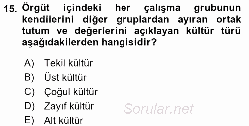 Organizasyonlarda Davranış 2015 - 2016 Dönem Sonu Sınavı 15.Soru