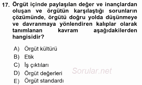 Organizasyonlarda Davranış 2015 - 2016 Dönem Sonu Sınavı 17.Soru