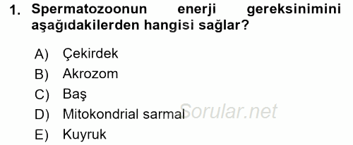 Doğum Bilgisi ve Suni Tohumlama 2015 - 2016 Ara Sınavı 1.Soru