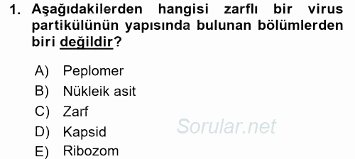 Viroloji 2017 - 2018 Dönem Sonu Sınavı 1.Soru