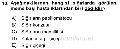 Viroloji 2017 - 2018 Dönem Sonu Sınavı 10.Soru