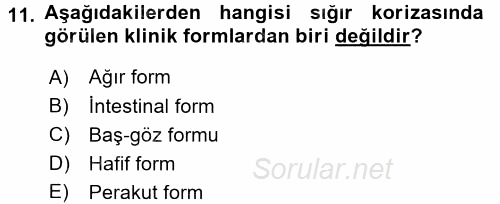 Viroloji 2017 - 2018 Dönem Sonu Sınavı 11.Soru