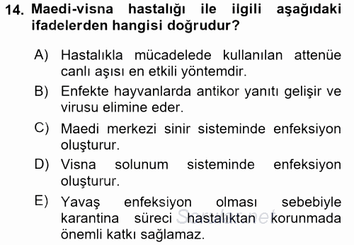 Viroloji 2017 - 2018 Dönem Sonu Sınavı 14.Soru