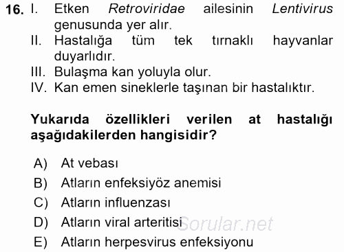 Viroloji 2017 - 2018 Dönem Sonu Sınavı 16.Soru