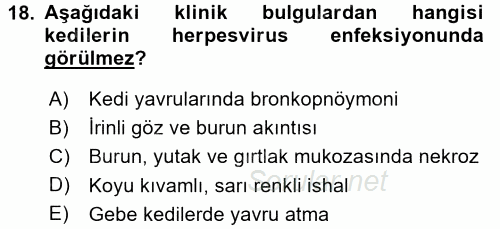 Viroloji 2017 - 2018 Dönem Sonu Sınavı 18.Soru