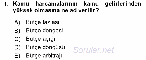 Devlet Borçları 2016 - 2017 Dönem Sonu Sınavı 1.Soru