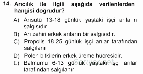 Hayvan Yetiştirme 2012 - 2013 Dönem Sonu Sınavı 14.Soru