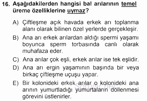 Hayvan Yetiştirme 2012 - 2013 Dönem Sonu Sınavı 16.Soru