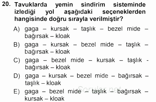 Hayvan Yetiştirme 2012 - 2013 Dönem Sonu Sınavı 20.Soru