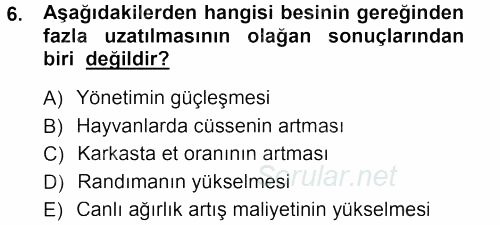 Hayvan Yetiştirme 2012 - 2013 Dönem Sonu Sınavı 6.Soru
