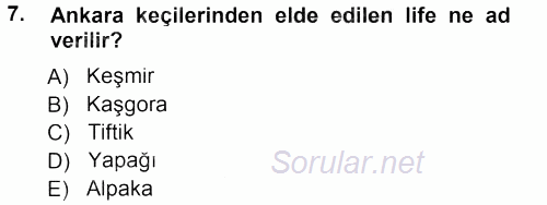 Hayvan Yetiştirme 2012 - 2013 Dönem Sonu Sınavı 7.Soru