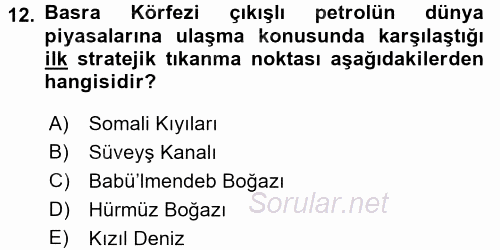 Modern Ortadoğu Tarihi 2016 - 2017 3 Ders Sınavı 12.Soru