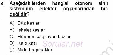 Çocuk Ruh Sağlığı 2013 - 2014 Tek Ders Sınavı 4.Soru