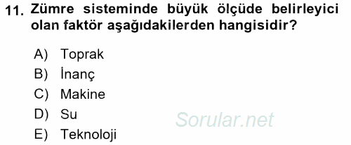 Çalışma Sosyolojisi 2016 - 2017 Dönem Sonu Sınavı 11.Soru