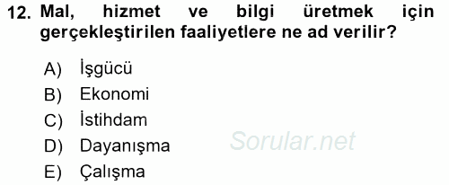 Çalışma Sosyolojisi 2016 - 2017 Dönem Sonu Sınavı 12.Soru